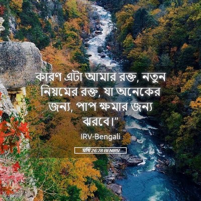 Picture 05 - মথি 26:28 BENIRV - কারণ এটা আমার রক্ত, - Bible Verse Picture