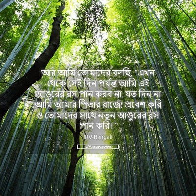 Picture 05 - মথি 26:29 BENIRV - আর আমি তোমাদের - Bible Verse Picture
