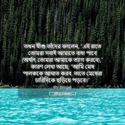 Picture 05 - মথি 26:31 BENIRV - তখন যীশু তাঁদের - Bible Verse Picture