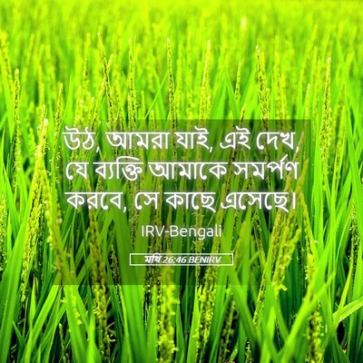 Picture 05 - মথি 26:46 BENIRV - উঠ, আমরা যাই, এই দেখ, - Bible Verse Picture