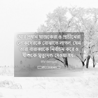 Picture 05 - মথি 27:20 BENIRV - আর প্রধান যাজকেরা - Bible Verse Picture