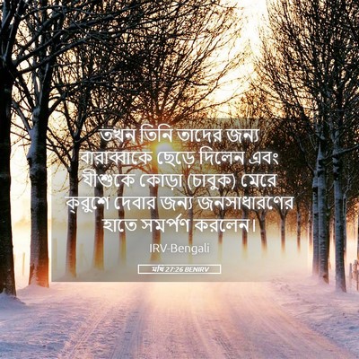 Picture 05 - মথি 27:26 BENIRV - তখন তিনি তাদের - Bible Verse Picture