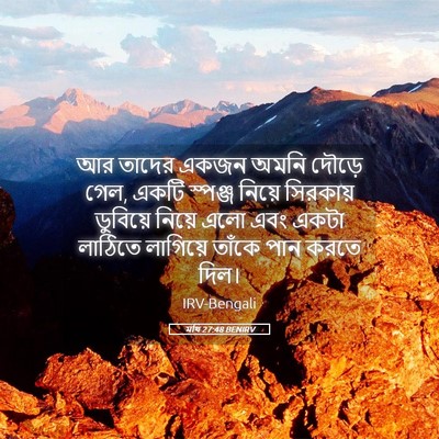 Picture 05 - মথি 27:48 BENIRV - আর তাদের একজন অমনি - Bible Verse Picture