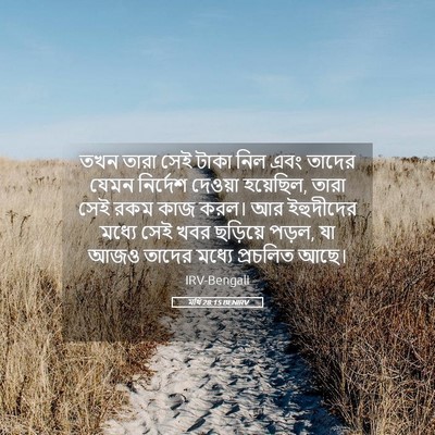 Picture 05 - মথি 28:15 BENIRV - তখন তারা সেই টাকা - Bible Verse Picture