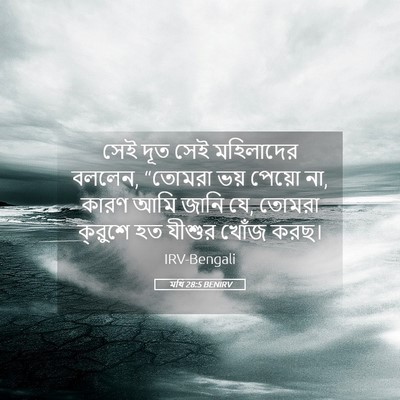 Picture 05 - মথি 28:5 BENIRV - সেই দূত সেই - Bible Verse Picture