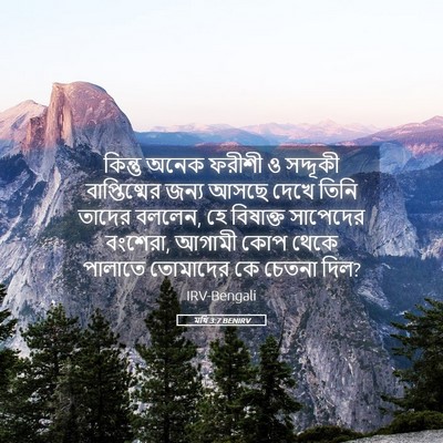 Picture 05 - মথি 3:7 BENIRV - কিন্তু অনেক ফরীশী - Bible Verse Picture