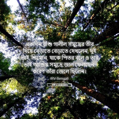 Picture 05 - মথি 4:18 BENIRV - একদিন যীশু গালীল - Bible Verse Picture