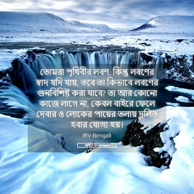 Picture 05 - মথি 5:13 BENIRV - তোমরা পৃথিবীর লবণ, - Bible Verse Picture