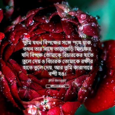 Picture 05 - মথি 5:25 BENIRV - তুমি যখন বিপক্ষের - Bible Verse Picture