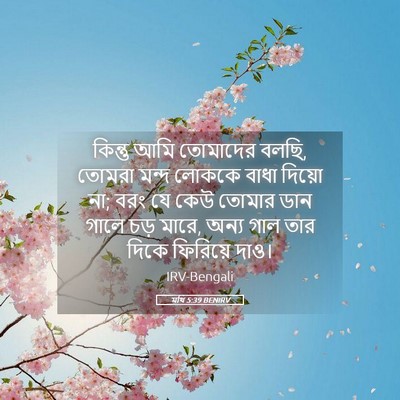 Picture 05 - মথি 5:39 BENIRV - কিন্তু আমি - Bible Verse Picture
