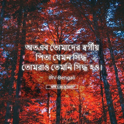 Picture 05 - মথি 5:48 BENIRV - অতএব তোমাদের - Bible Verse Picture