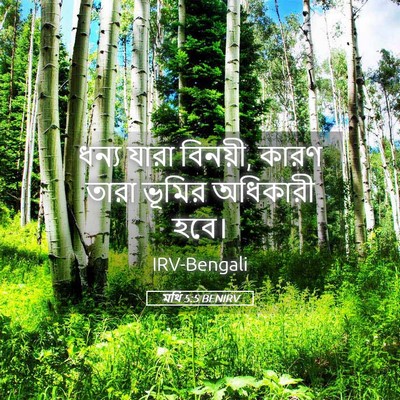 Picture 05 - মথি 5:5 BENIRV - ধন্য যারা বিনয়ী, - Bible Verse Picture