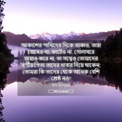 Picture 05 - মথি 6:26 BENIRV - আকাশের পাখিদের - Bible Verse Picture
