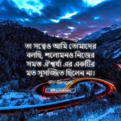Picture 05 - মথি 6:29 BENIRV - তা সত্বেও আমি - Bible Verse Picture