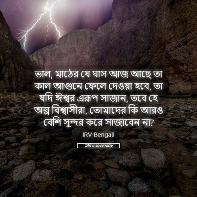 Picture 05 - মথি 6:30 BENIRV - ভাল, মাঠের যে ঘাস - Bible Verse Picture