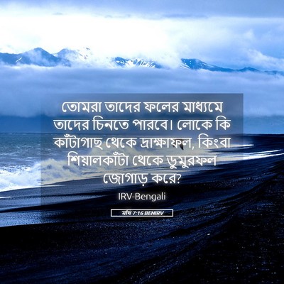 Picture 05 - মথি 7:16 BENIRV - তোমরা তাদের ফলের - Bible Verse Picture