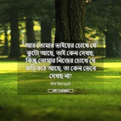 Picture 05 - মথি 7:3 BENIRV - আর তোমার ভাইয়ের - Bible Verse Picture