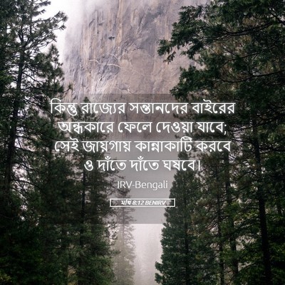 Picture 05 - মথি 8:12 BENIRV - কিন্তু রাজ্যের - Bible Verse Picture
