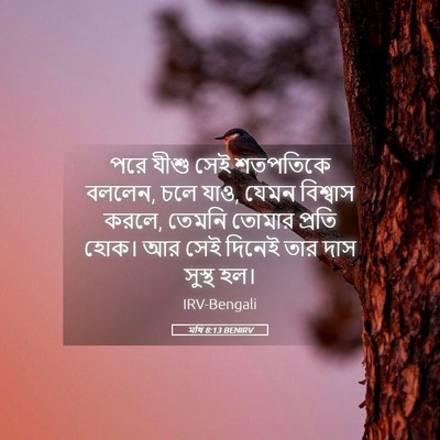 Picture 05 - মথি 8:13 BENIRV - পরে যীশু সেই - Bible Verse Picture