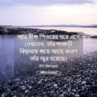 Picture 05 - মথি 8:14 BENIRV - আর যীশু পিতরের ঘরে - Bible Verse Picture