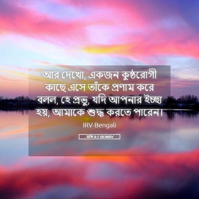 Picture 05 - মথি 8:2 BENIRV - আর দেখো, একজন - Bible Verse Picture