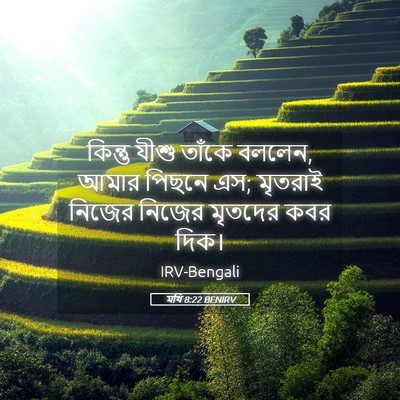 Picture 05 - মথি 8:22 BENIRV - কিন্তু যীশু তাঁকে - Bible Verse Picture