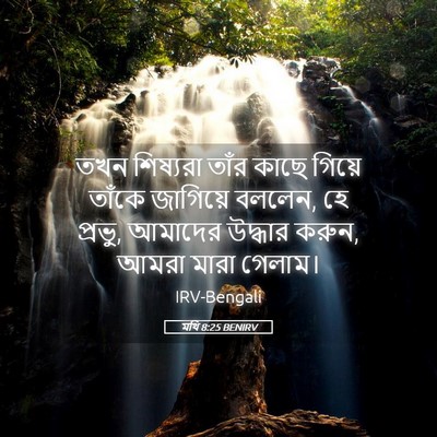 Picture 05 - মথি 8:25 BENIRV - তখন শিষ্যরা তাঁর - Bible Verse Picture