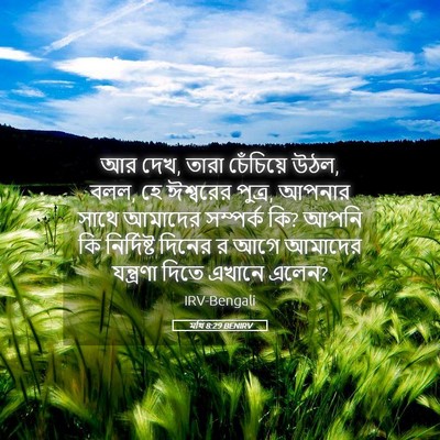 Picture 05 - মথি 8:29 BENIRV - আর দেখ, তারা - Bible Verse Picture