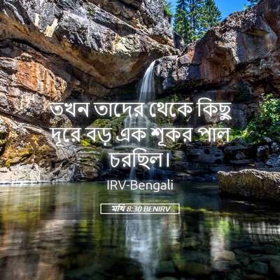 Picture 05 - মথি 8:30 BENIRV - তখন তাদের থেকে - Bible Verse Picture