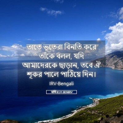 Picture 05 - মথি 8:31 BENIRV - তাতে ভূতেরা বিনতি - Bible Verse Picture