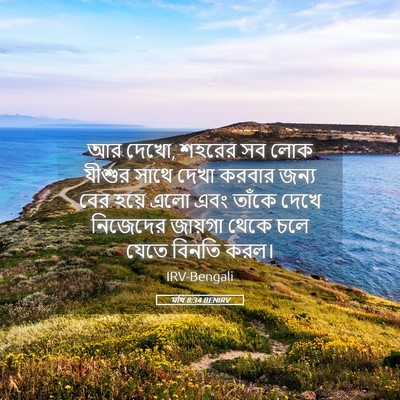 Picture 05 - মথি 8:34 BENIRV - আর দেখো, শহরের সব - Bible Verse Picture