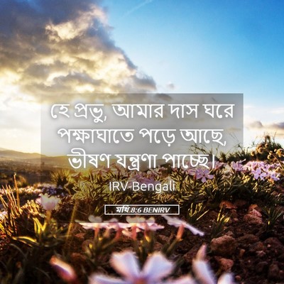 Picture 05 - মথি 8:6 BENIRV - হে প্রভু, আমার দাস - Bible Verse Picture