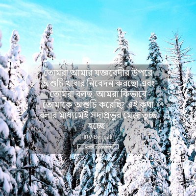 Picture 05 - মলাখী 1:7 BENIRV - তোমরা আমার - Bible Verse Picture
