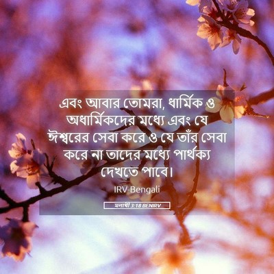 Picture 05 - মলাখী 3:18 BENIRV - এবং আবার তোমরা, - Bible Verse Picture