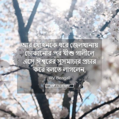Picture 05 - মার্ক 1:14 BENIRV - আর যোহনকে ধরে - Bible Verse Picture