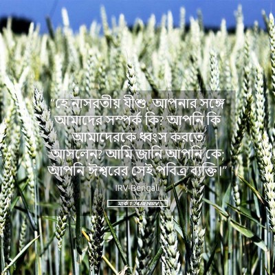 Picture 05 - মার্ক 1:24 BENIRV - “হে নাসরতীয় যীশু, - Bible Verse Picture