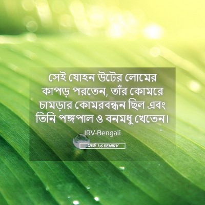 Picture 05 - মার্ক 1:6 BENIRV - সেই যোহন উটের - Bible Verse Picture