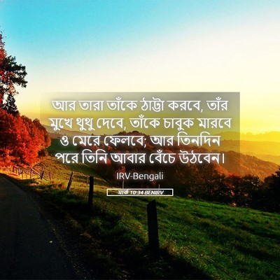 Picture 05 - মার্ক 10:34 BENIRV - আর তারা তাঁকে - Bible Verse Picture