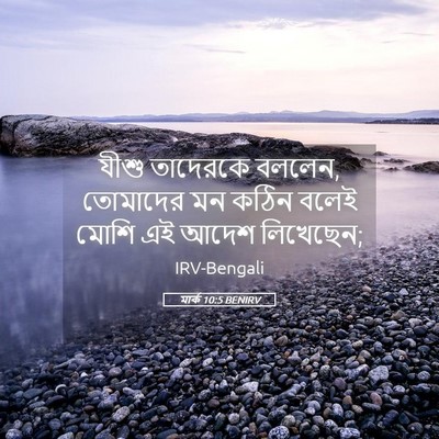 Picture 05 - মার্ক 10:5 BENIRV - যীশু তাদেরকে - Bible Verse Picture