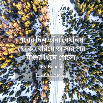 Picture 05 - মার্ক 11:12 BENIRV - পরের দিন তাঁরা - Bible Verse Picture
