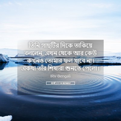 Picture 05 - মার্ক 11:14 BENIRV - তিনি গাছটির দিকে - Bible Verse Picture