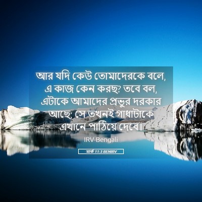 Picture 05 - মার্ক 11:3 BENIRV - আর যদি কেউ - Bible Verse Picture