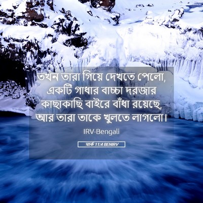 Picture 05 - মার্ক 11:4 BENIRV - তখন তারা গিয়ে - Bible Verse Picture