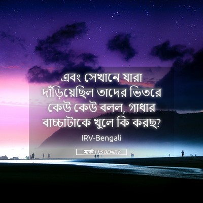Picture 05 - মার্ক 11:5 BENIRV - এবং সেখানে যারা - Bible Verse Picture