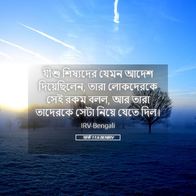 Picture 05 - মার্ক 11:6 BENIRV - যীশু শিষ্যদের - Bible Verse Picture