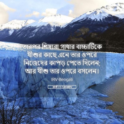 Picture 05 - মার্ক 11:7 BENIRV - তারপর শিষ্যরা - Bible Verse Picture
