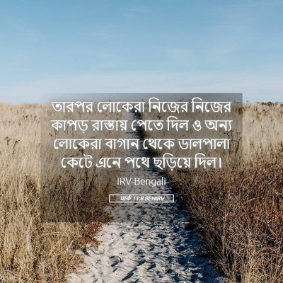 Picture 05 - মার্ক 11:8 BENIRV - তারপর লোকেরা - Bible Verse Picture