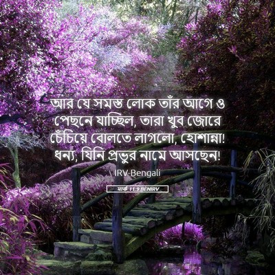 Picture 05 - মার্ক 11:9 BENIRV - আর যে সমস্ত লোক - Bible Verse Picture
