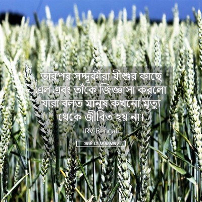 Picture 05 - মার্ক 12:18 BENIRV - তারপর সদ্দূকীরা - Bible Verse Picture