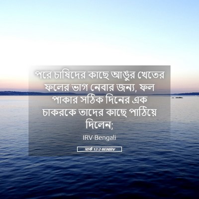 Picture 05 - মার্ক 12:2 BENIRV - পরে চাষিদের কাছে - Bible Verse Picture